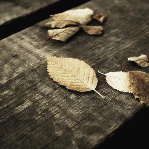 ❤️成人🍌伸🍑🈲www
